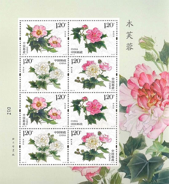 《木芙蓉》特种m88